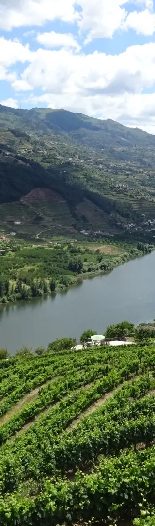 Im Douro-Tal